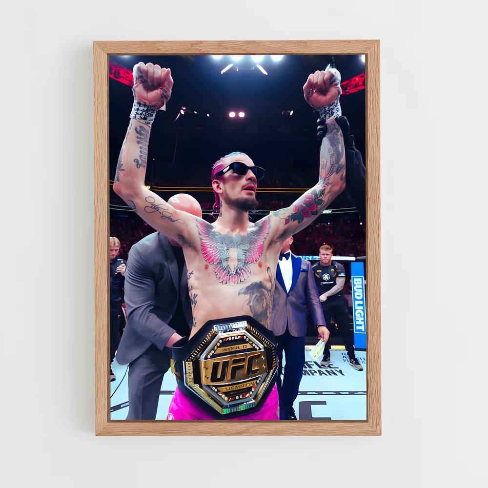 Poster Champion Émérite – affiche MMA (vue 4)